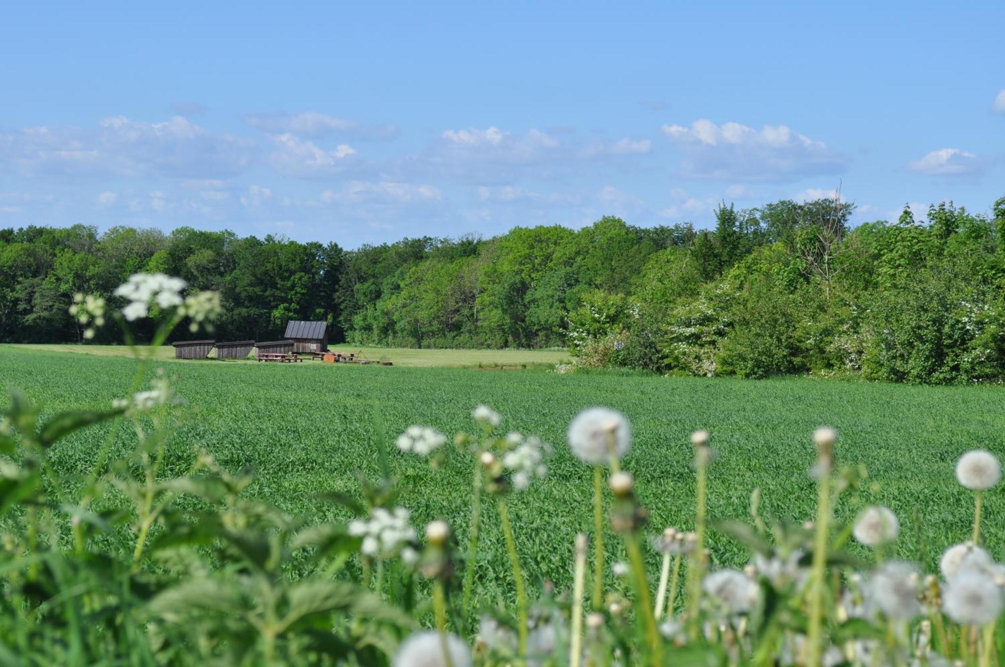 Koebenhovedskov Bed & Breakfast Rødding 외부 사진