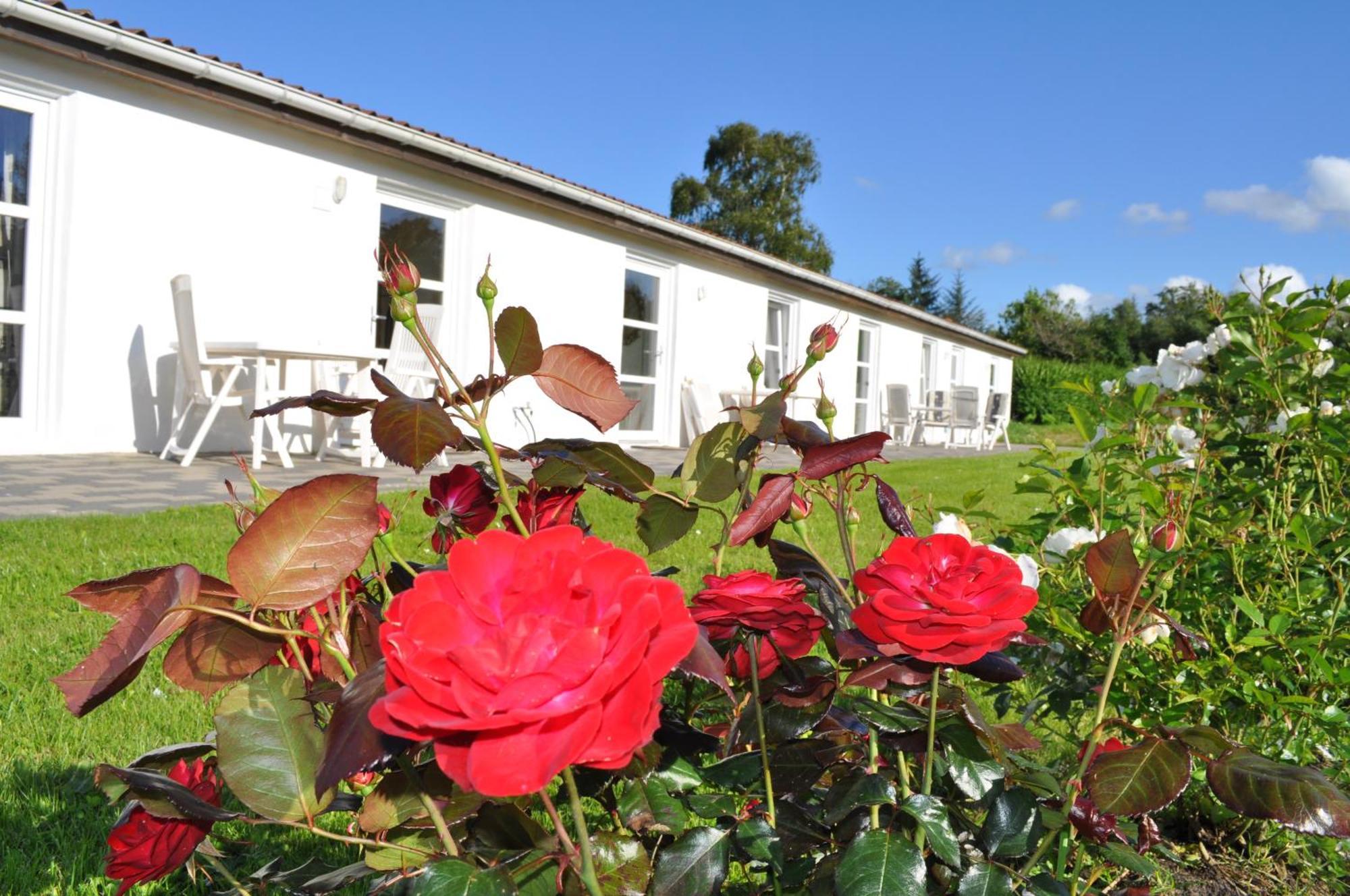 Koebenhovedskov Bed & Breakfast Rødding 외부 사진
